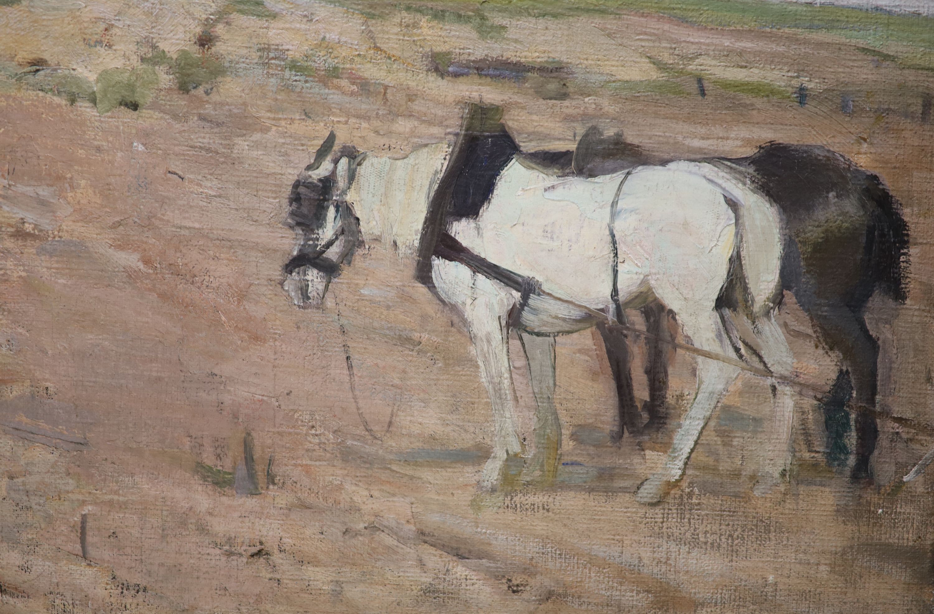 Continental School circa 1900, oil on canvas, Plough horses, 37 x 47cm. Unframed.